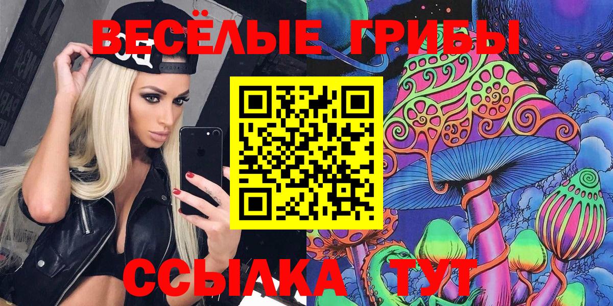 Псилоцибиновые грибы мицелий Пушкино