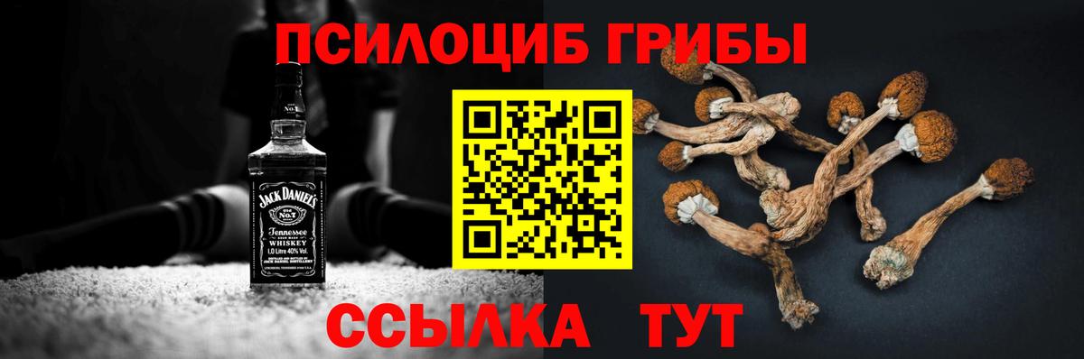 Пушкино  Галлюциногенные грибы Psilocybine cubensis  Вход с VPN 