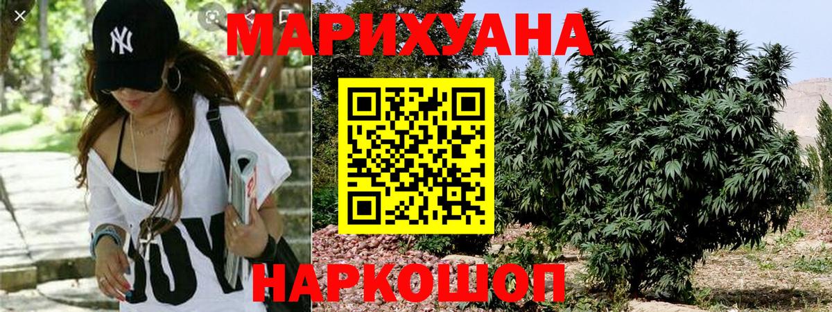 Бошки Шишки планчик  Бошки марихуана Ganja  Канабис семена  Вход с VPN  Пушкино 